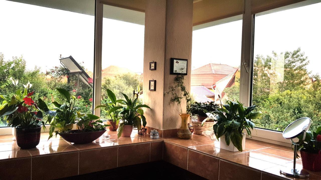 Casa Zora Appartement Alba Iulia Buitenkant foto
