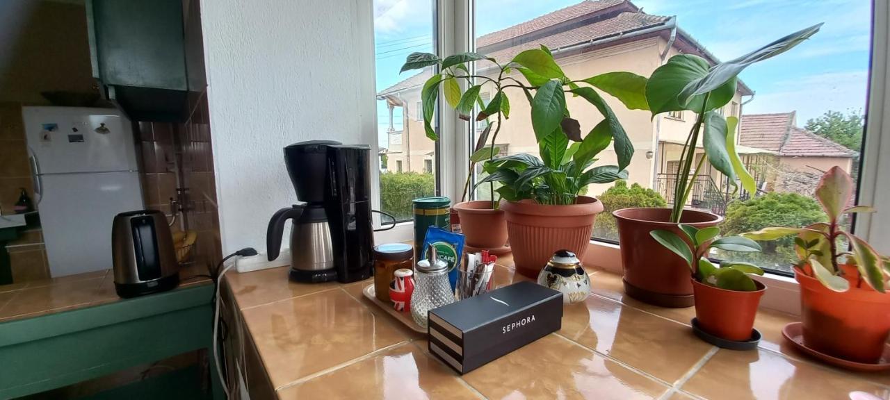 Casa Zora Appartement Alba Iulia Buitenkant foto